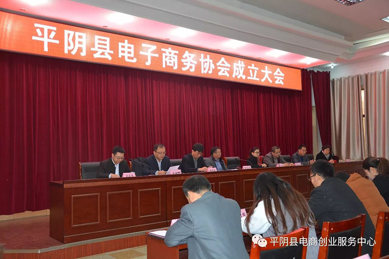 平阴县电子商务协会建立大会